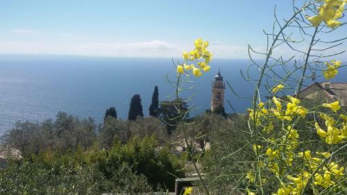 Bed & Breakfast Il Gabbiano Di Pieve