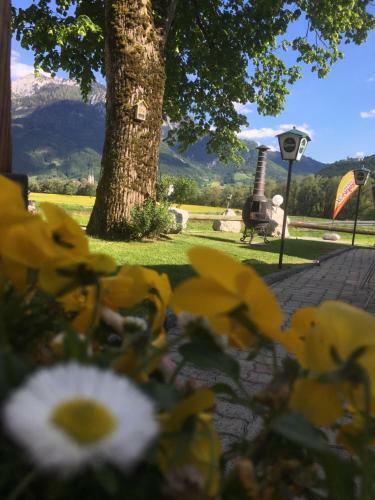 Posada Gasthof W�lger