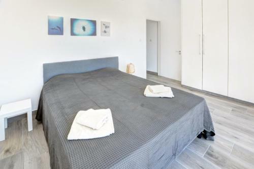 Gorgona Villa 14