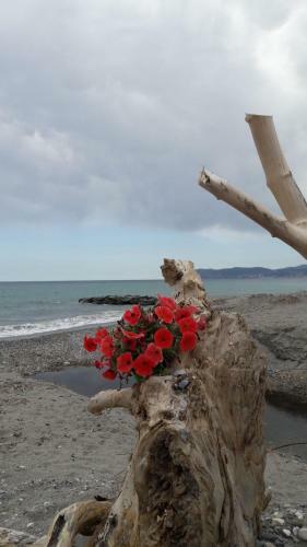 Apartamento Appartamento Vista Mare