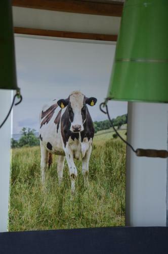 Bed & Breakfast Farm Loft Koe