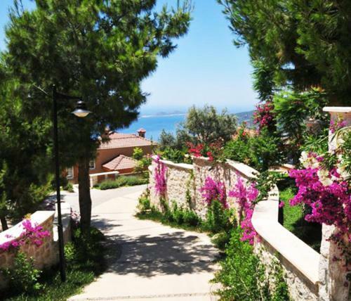 Villa Lagun