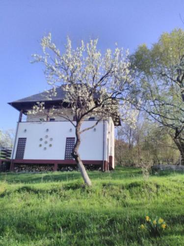 Hostal Cottage Poe