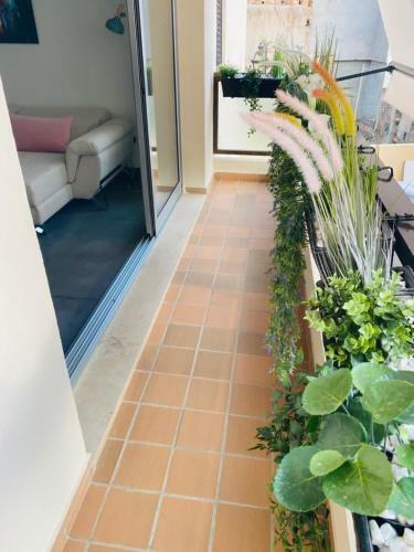 Apartamento Trinidad Centro