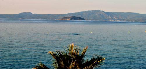 Eleni's Sea View Apartments