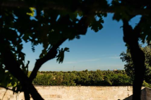 Il Pergolato Sul Mare