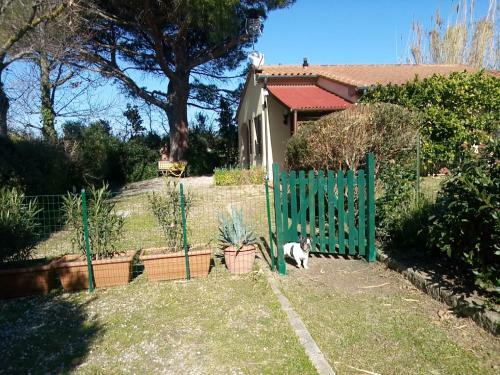 Hostal Casa Del Sole