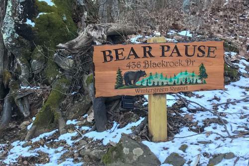 Mountain Escape Less Than 1 Mi Walk To Wintergreen Resort