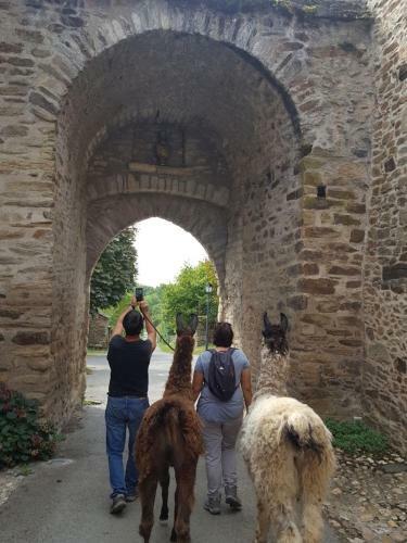 Bed & Breakfast La Ferme Des Andes