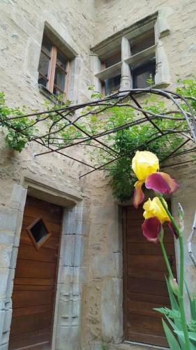 Bed & Breakfast La Ferme Des Andes