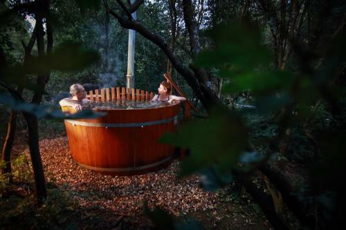 Bed & Breakfast Villa Viridis B�kkalja