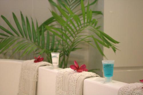 Hotel Rapopo Plantation Resort
