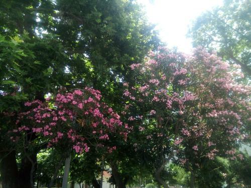 Apartamento Aprtament 4U