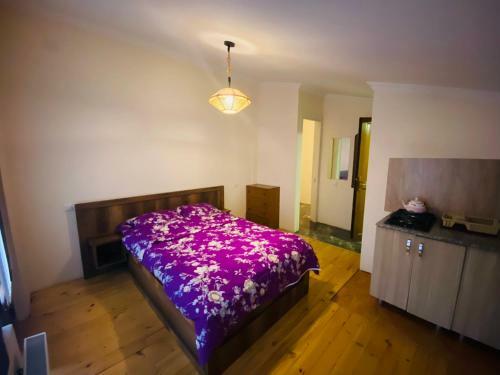 Apartamento ??????? ??????? ???????? "???????" Borjomi Guest House "giomani" ????????? ???????? "giomani"