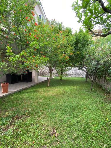 Momentera Apartments