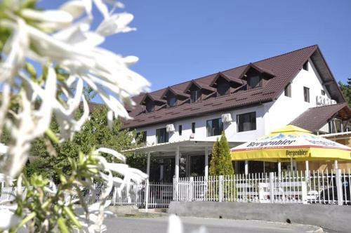 Hostal Pensiunea Vasy Xl