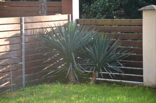 Hostal Guest House On Ardzinba 91