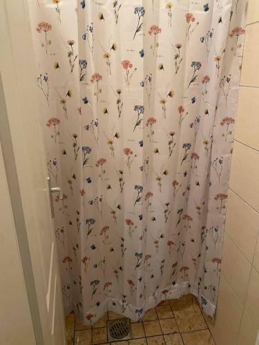 Apartamento Zelena Ku?a Borkovac