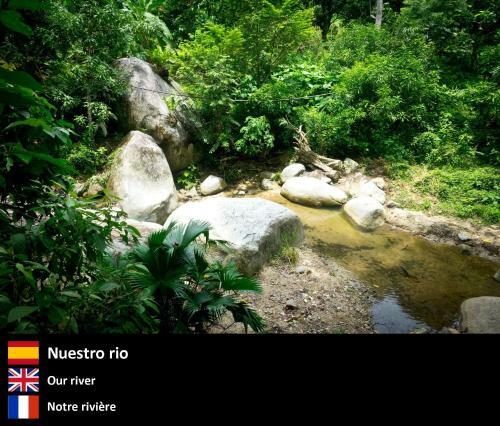 Domo 2 En La Selva A 3 Km De Minca