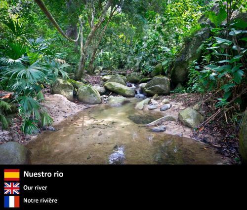 Domo 2 En La Selva A 3 Km De Minca