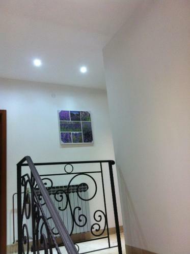 Apartmani Antunovi? Podgora