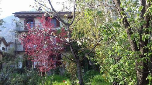 Bed & Breakfast Il Giardino Dei Merli