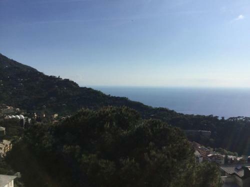 Hostal B&B Villa Orchidea