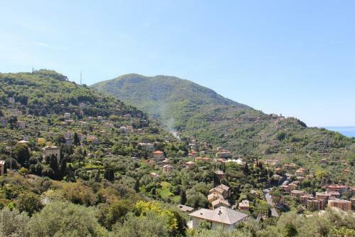 Hostal B&B Villa Orchidea