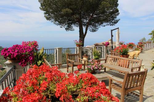 Hostal B&B Villa Orchidea
