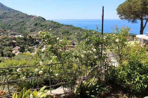 Hostal B&B Villa Orchidea