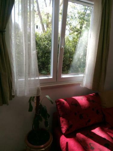 Apartment Marita