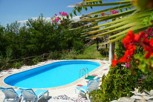Bed & Breakfast Honey Hill Faralya