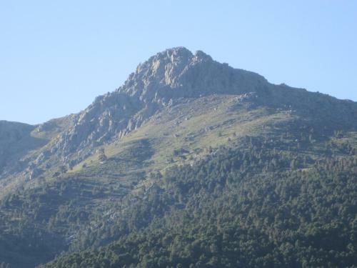 La Salamandra