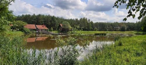 Camping Konrad�wka
