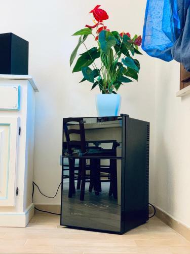 Apartamento Dreams By The Sea