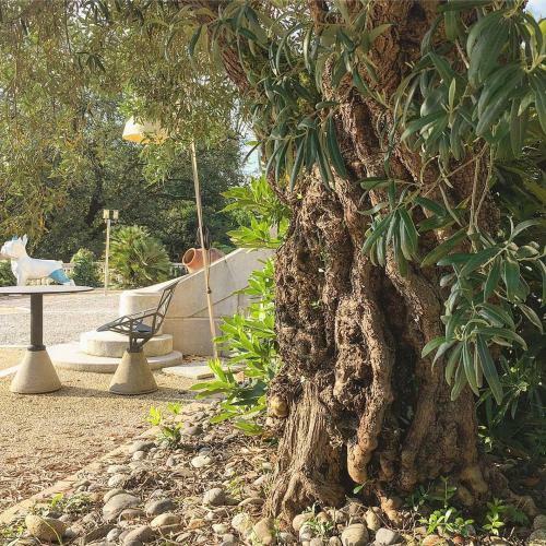 Bed & Breakfast Ch�teau Oll� Laprune