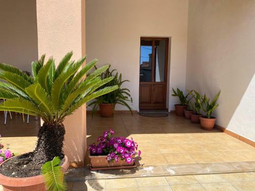 B&B Domenico Paulis