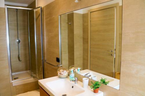 The Enlightened Turtle