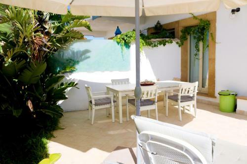 The Enlightened Turtle