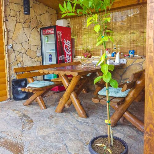 Apartment Little Paradise