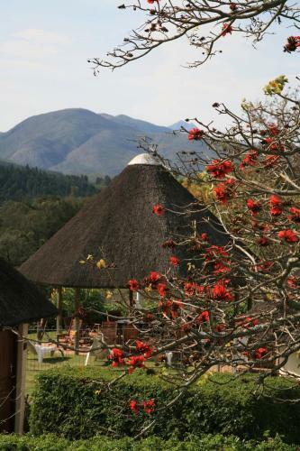 Posada Eight Bells Mountain Inn