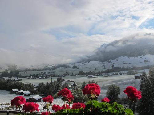 Bed & Breakfast B And B La Grangette