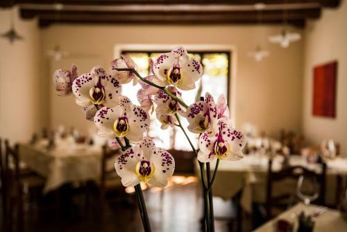 Bed & Breakfast Osteria Carletti