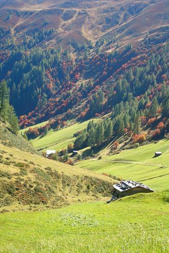 Hostal Haus F�rhapter Theresia