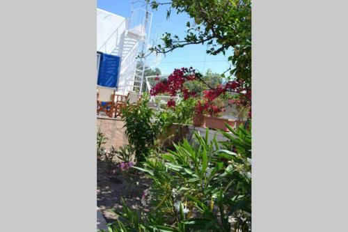 Apartamento Aegina House