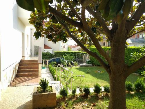 Apartamentos Local Lifestyle