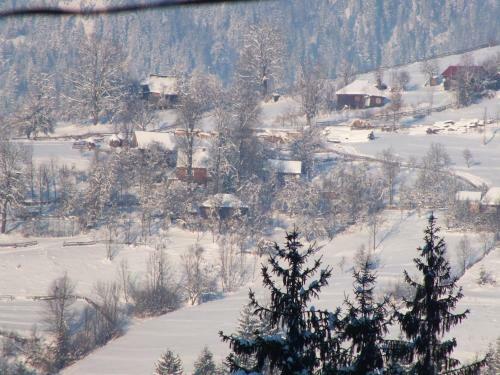 Hostal Pensiunea Aurora Albac