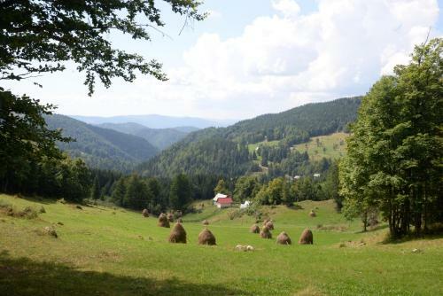 Hostal Pensiunea Aurora Albac