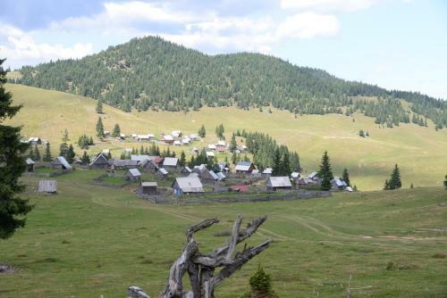 Hostal Pensiunea Aurora Albac