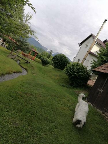 Casa De Vacan?a Marin
